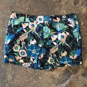 Ann Taylor Women Shorts